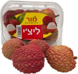 ליצי ארוז