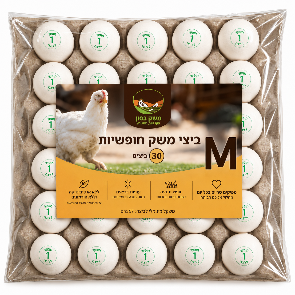 ביצי חופש M