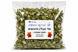 עלי מורינגה מיובשים