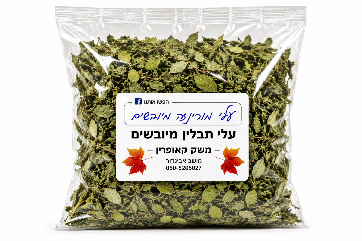 עלי מורינגה מיובשים