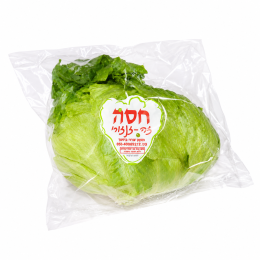 חסה זה זנזורי