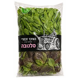 חסה סלנובה