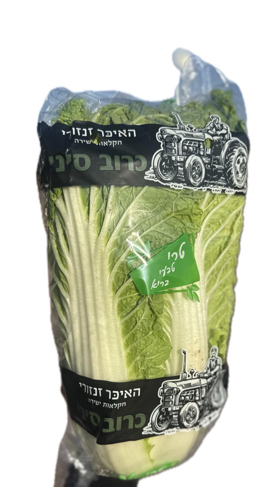 כרוב סיני