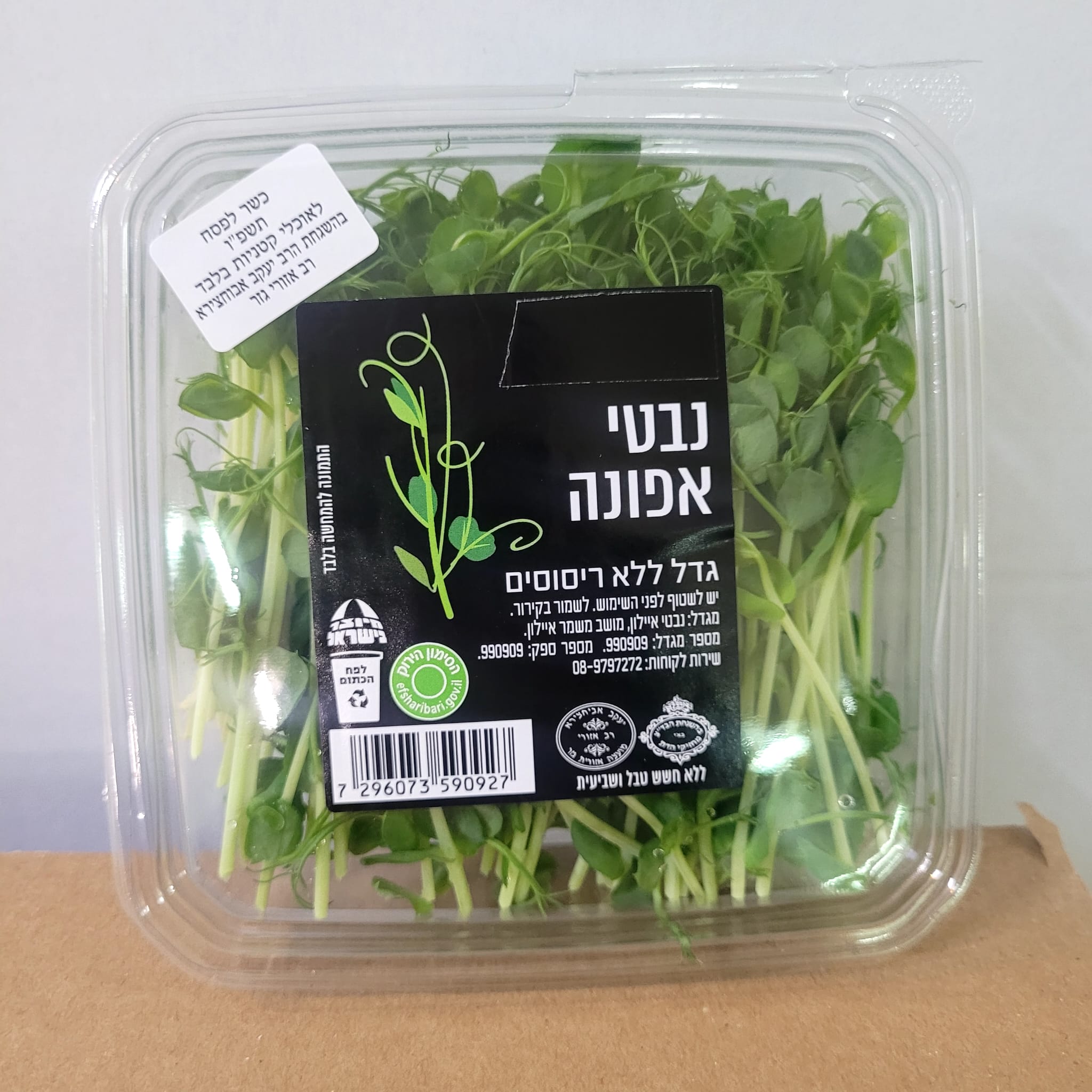 נבטי אפונה