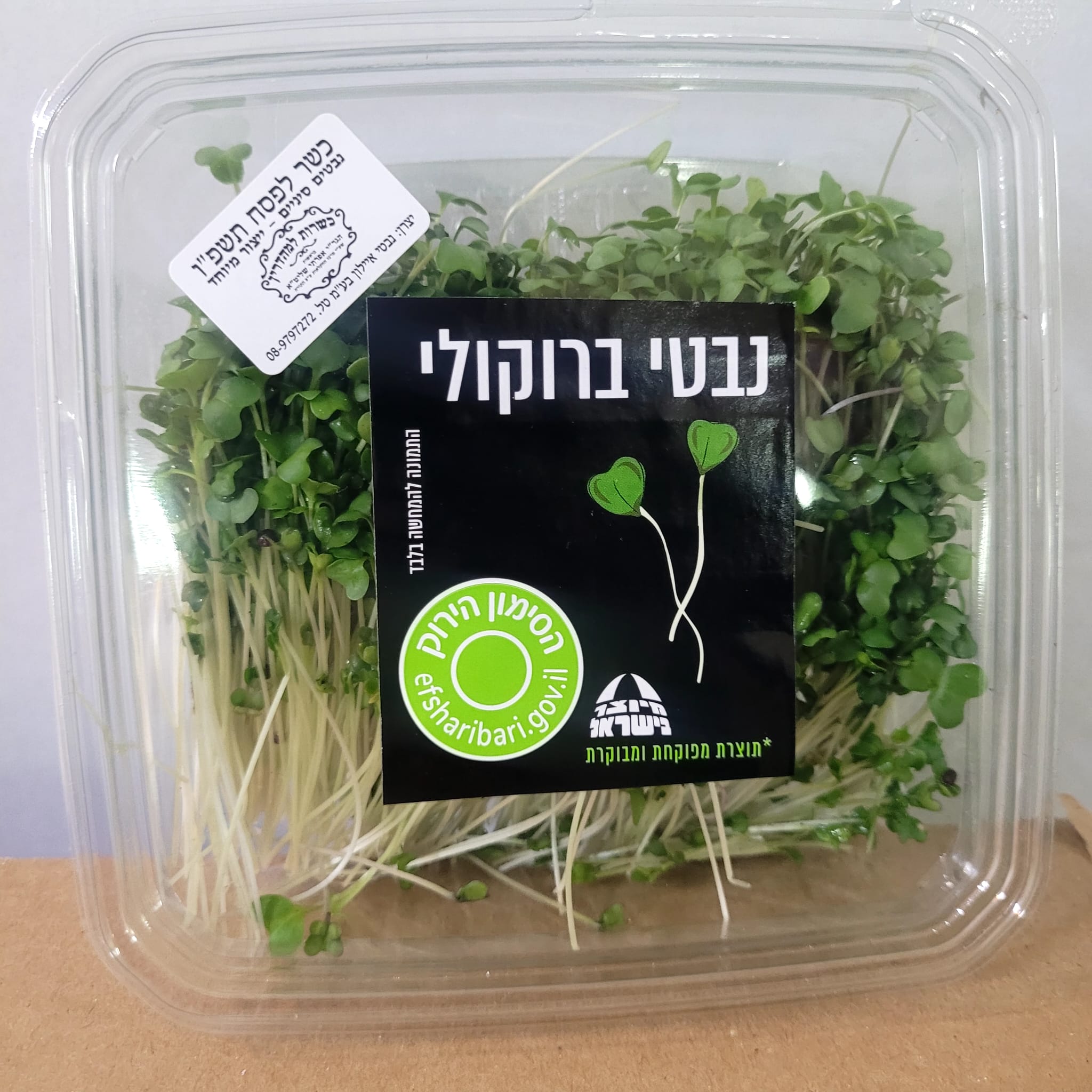 נבטי ברוקולי