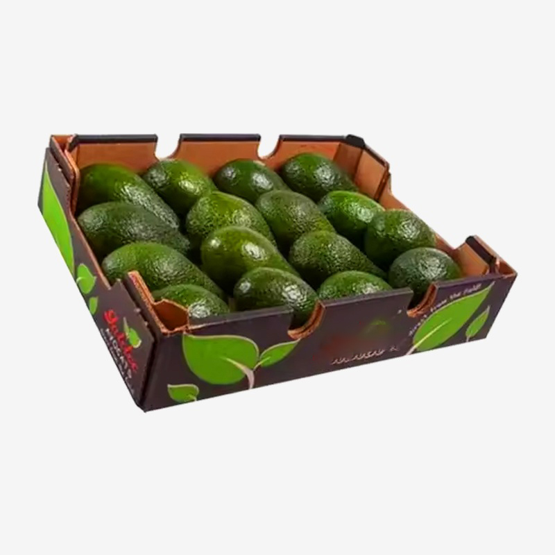 קרטון אבוקדו