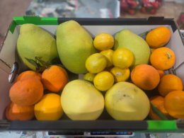 קרטון מיקס פירות הדר