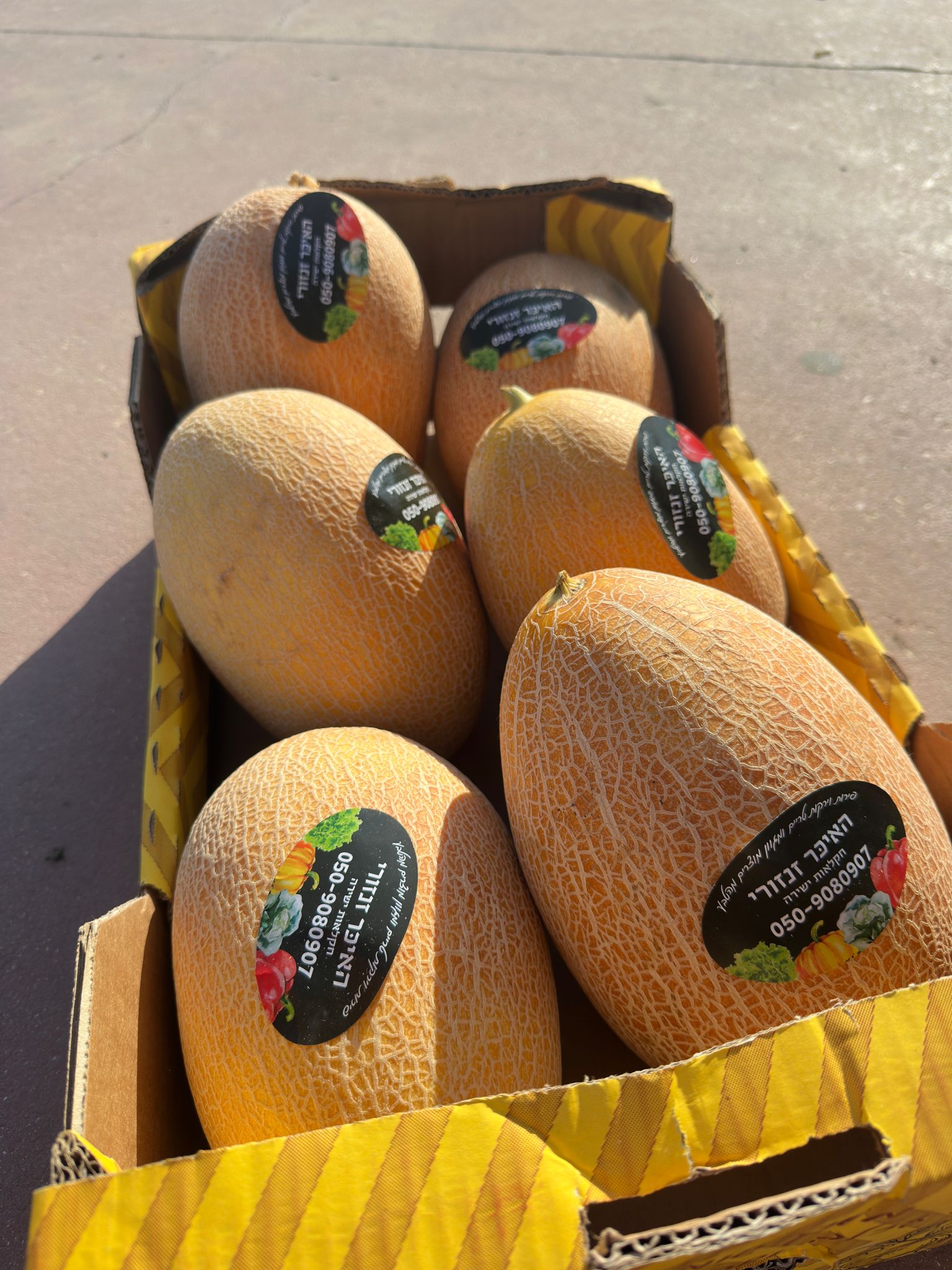 קרטון מלון כתום