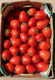 'קרטון עגבניות תמר