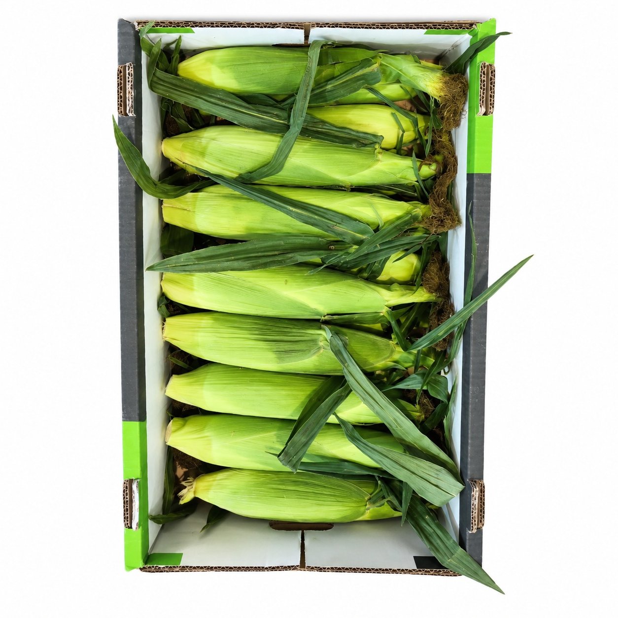 קרטון תירס