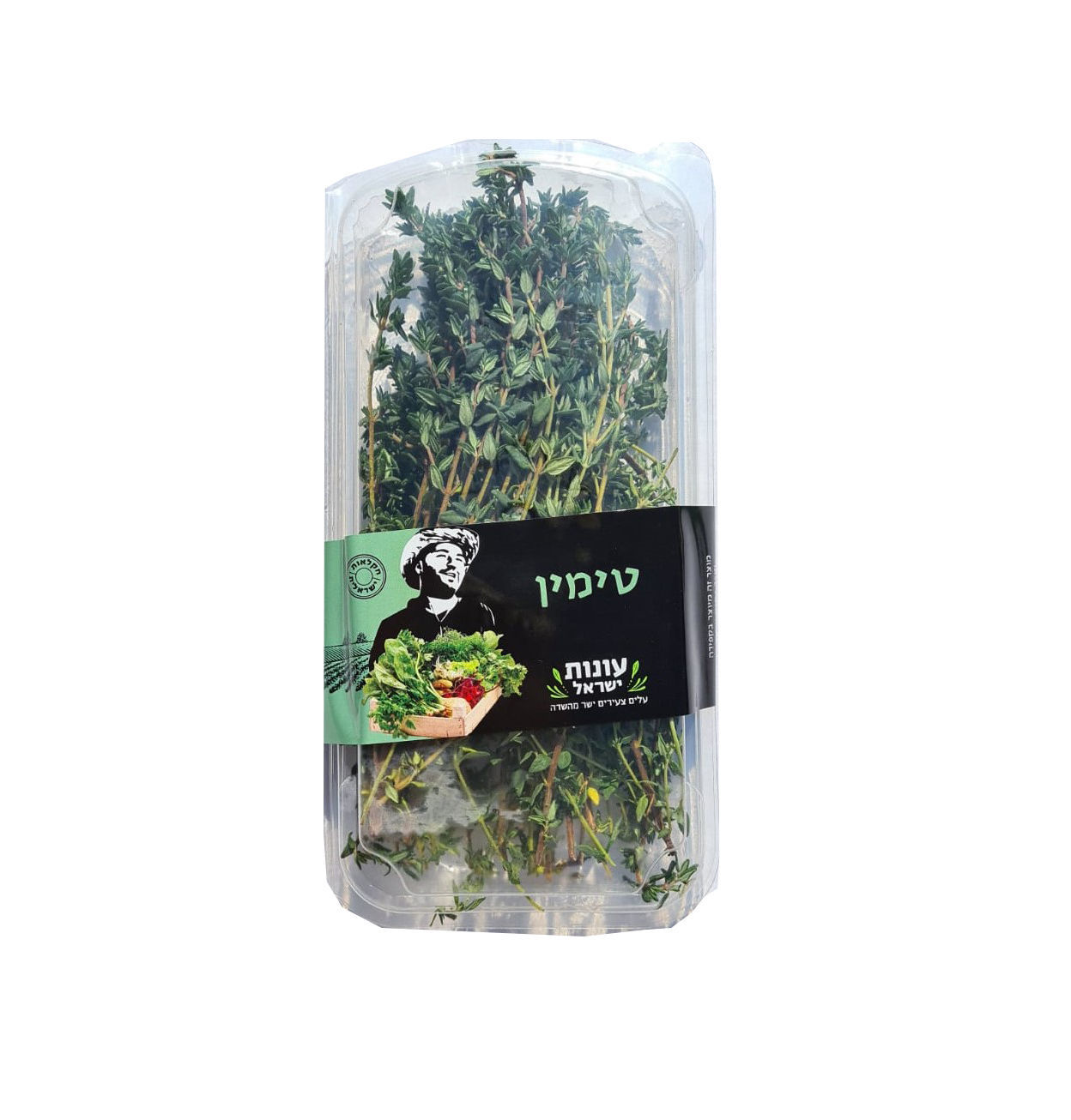 תימין קורנית