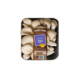 פטריות יער