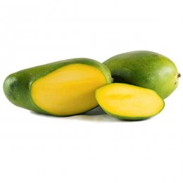 מנגו קיט קטן