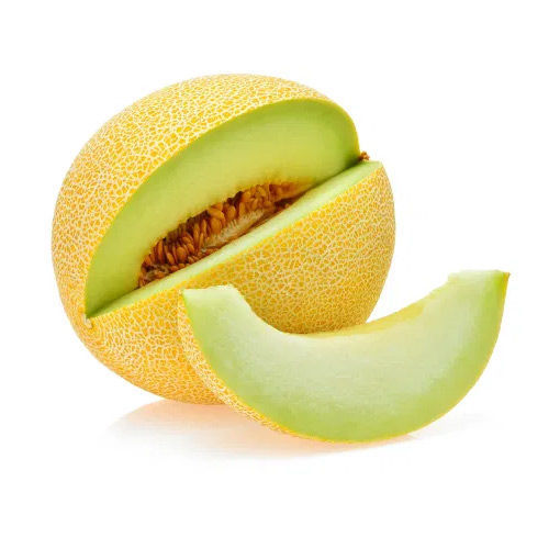 מלון גליה