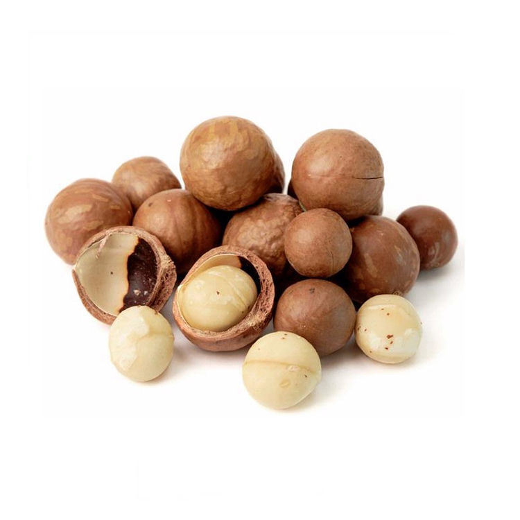 מקדמיה טבעי