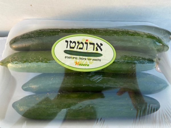 מלפפון ארומטו