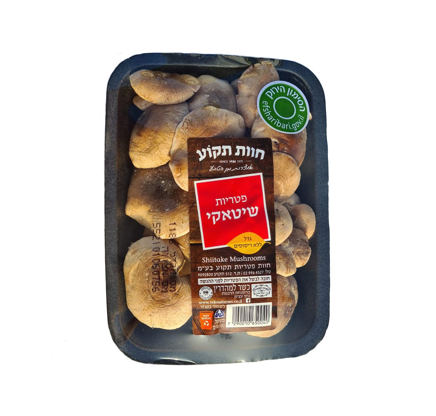 פטריות שיטאקי פטריות שיטאקי
