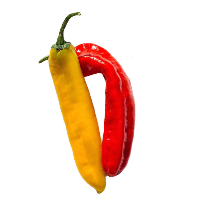 שושקה- צהוב