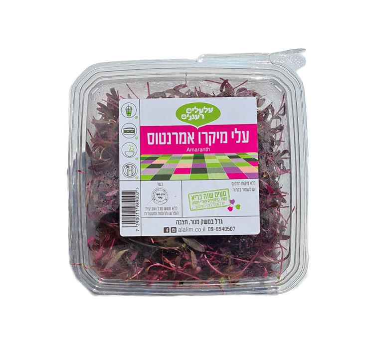 עלי מיקרו אמרנטוס