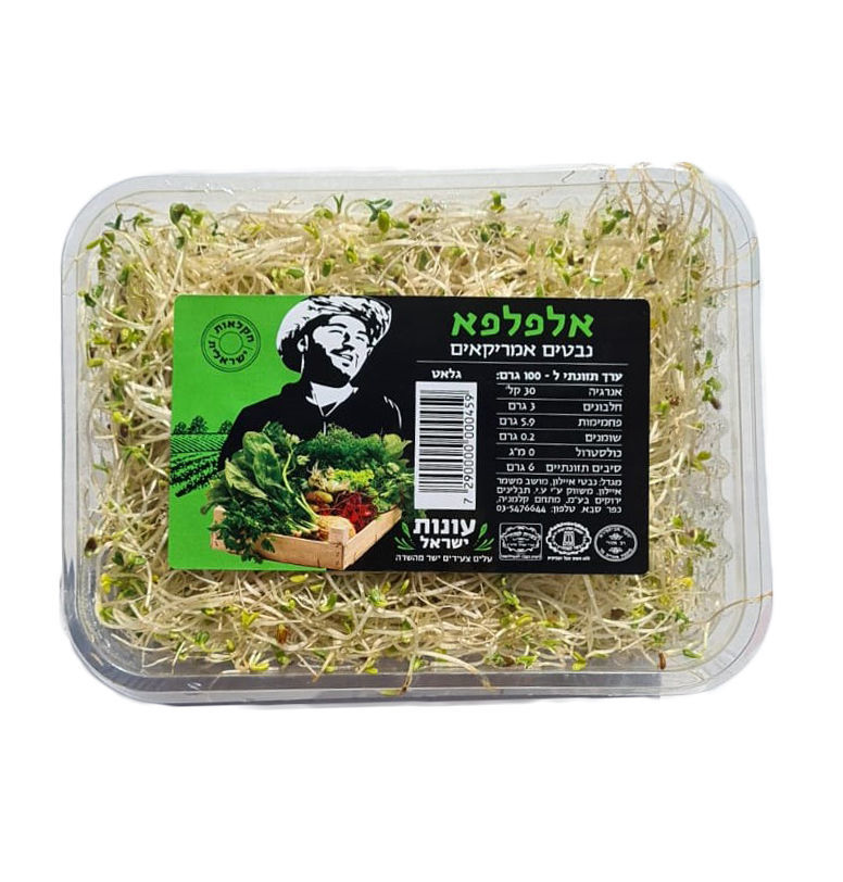 נבטי אלפלפא