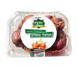 בצלי שאלוט- יח