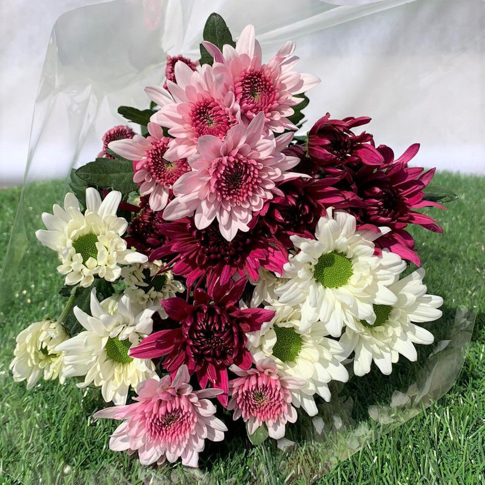 זר חרציות צבעוניות