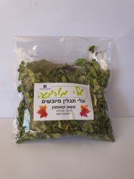עלי מורינגה מיובשים