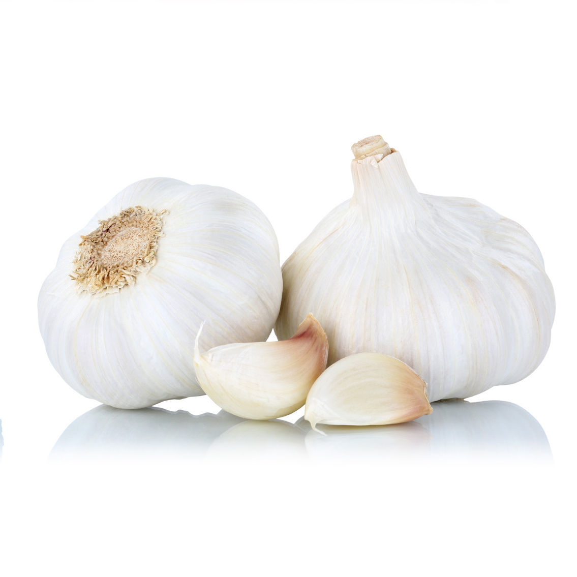 שום תפזורת טרי