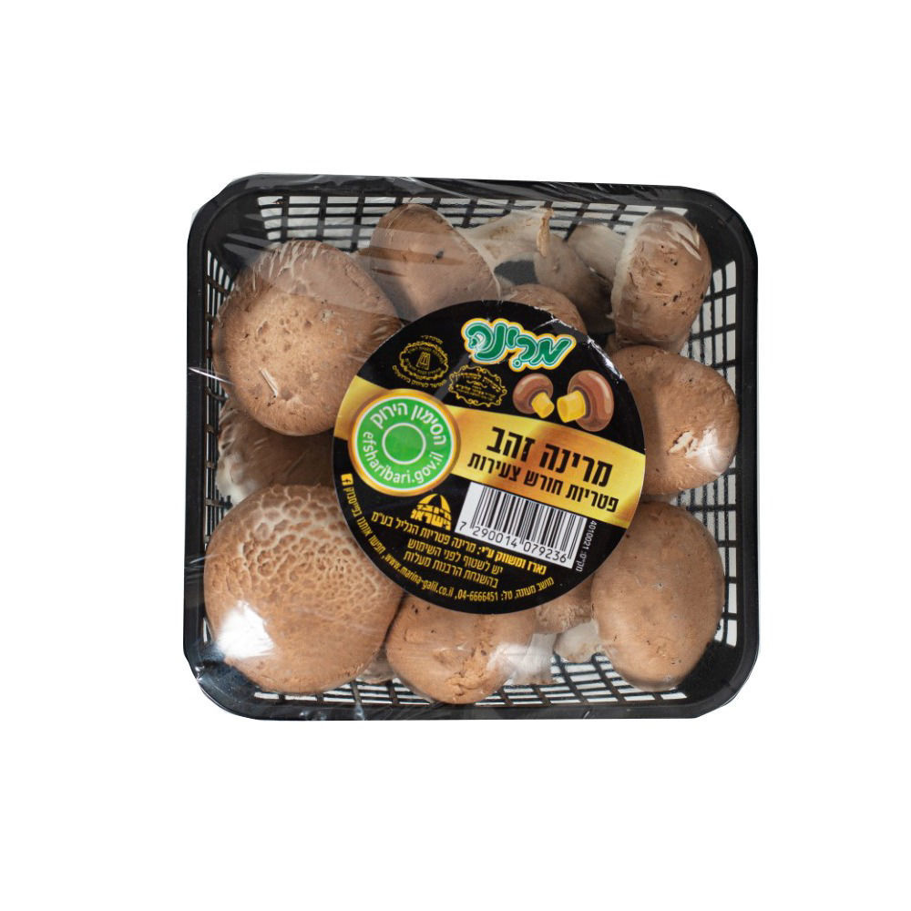 פטריות פורטובלה יחידה