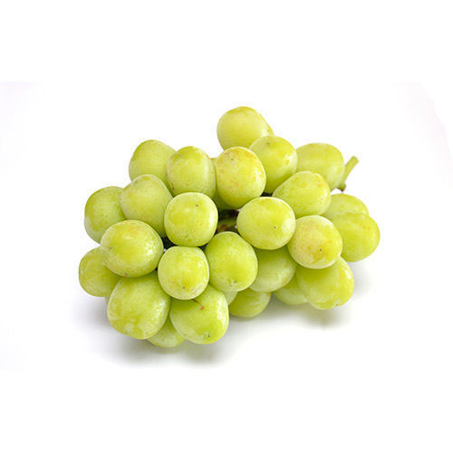 ענב לבן טלי מובחר