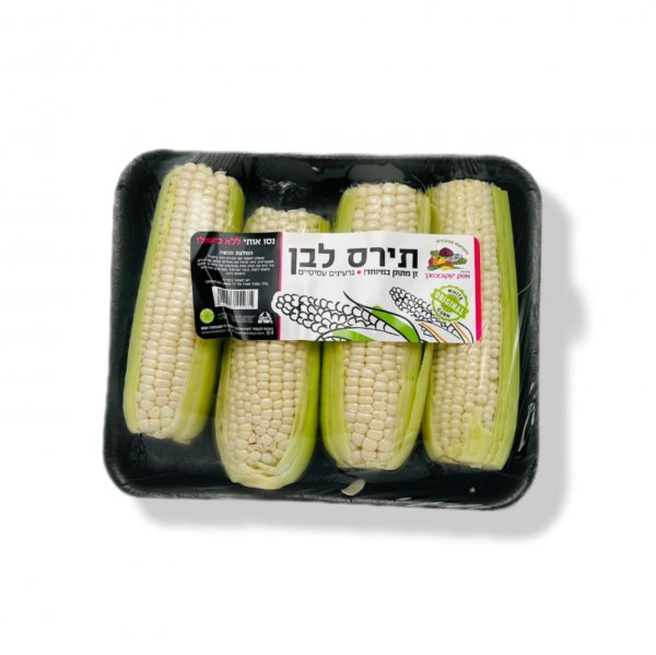 תירס לבן