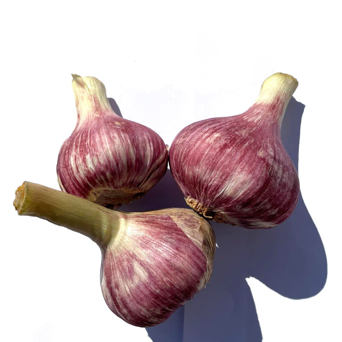 שום ירוק חתוך טרי