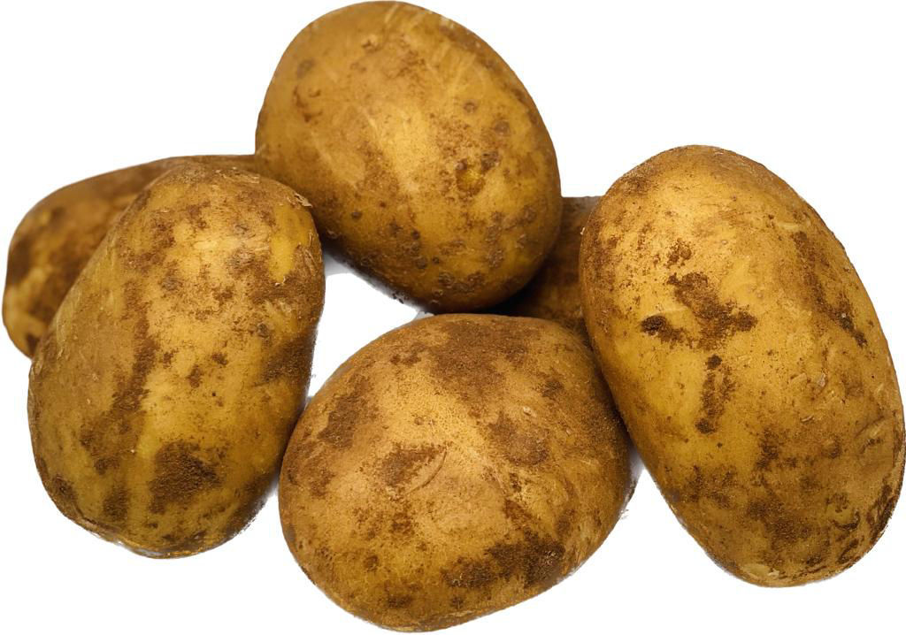 תפוח אדמה באטר