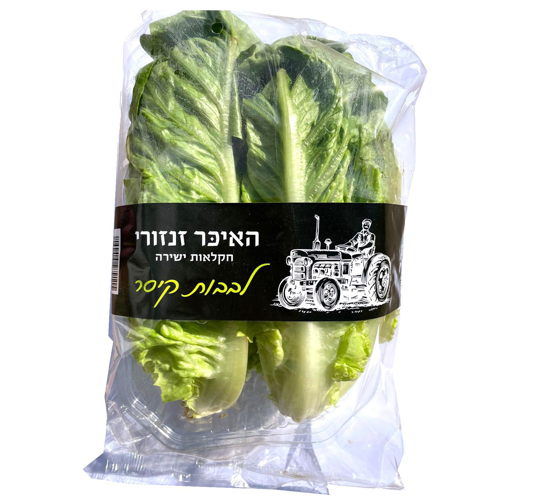 חסה לבבות