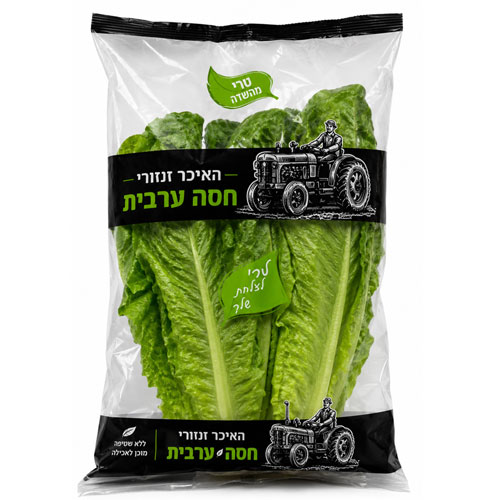 חסה ערבית- ארוזה