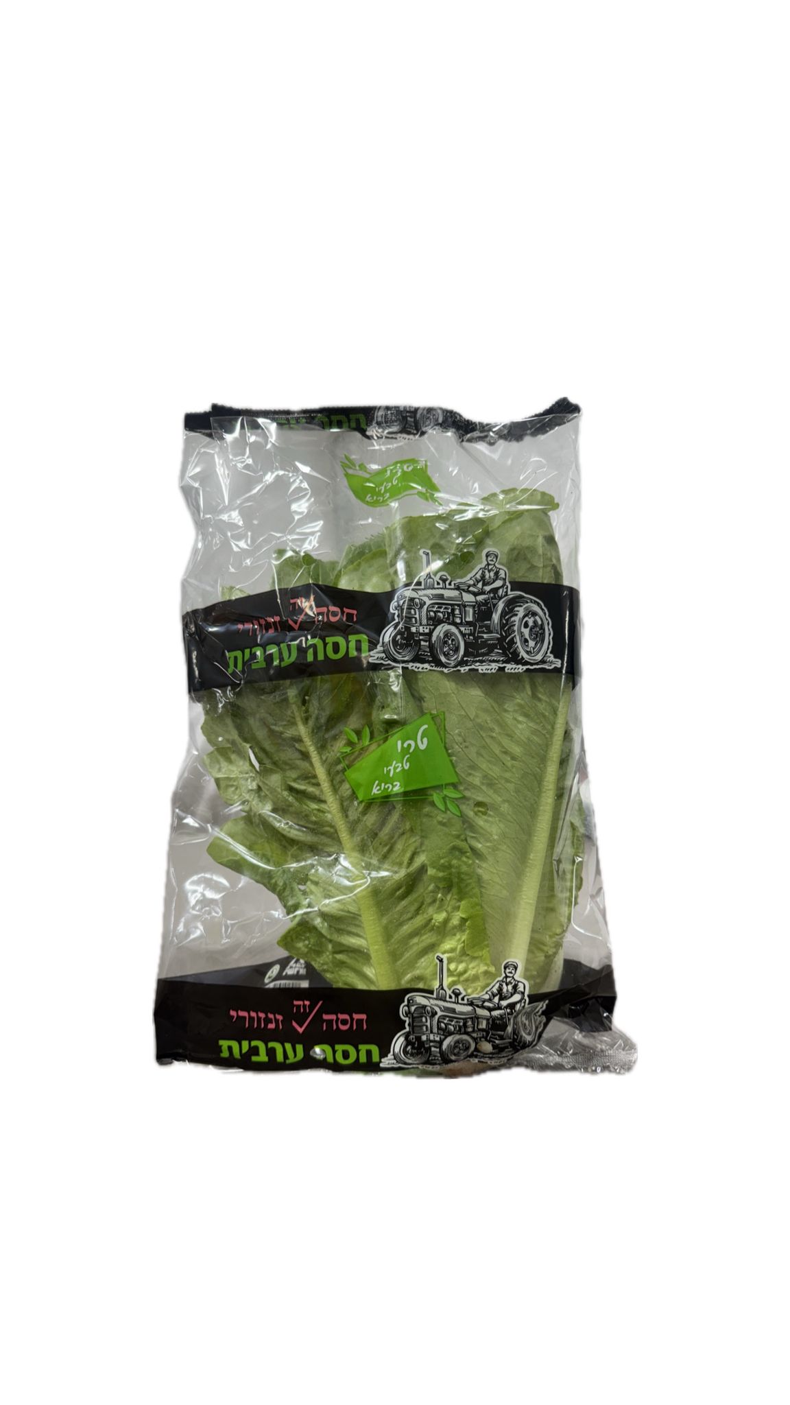 חסה ערבית ארוזה חדש