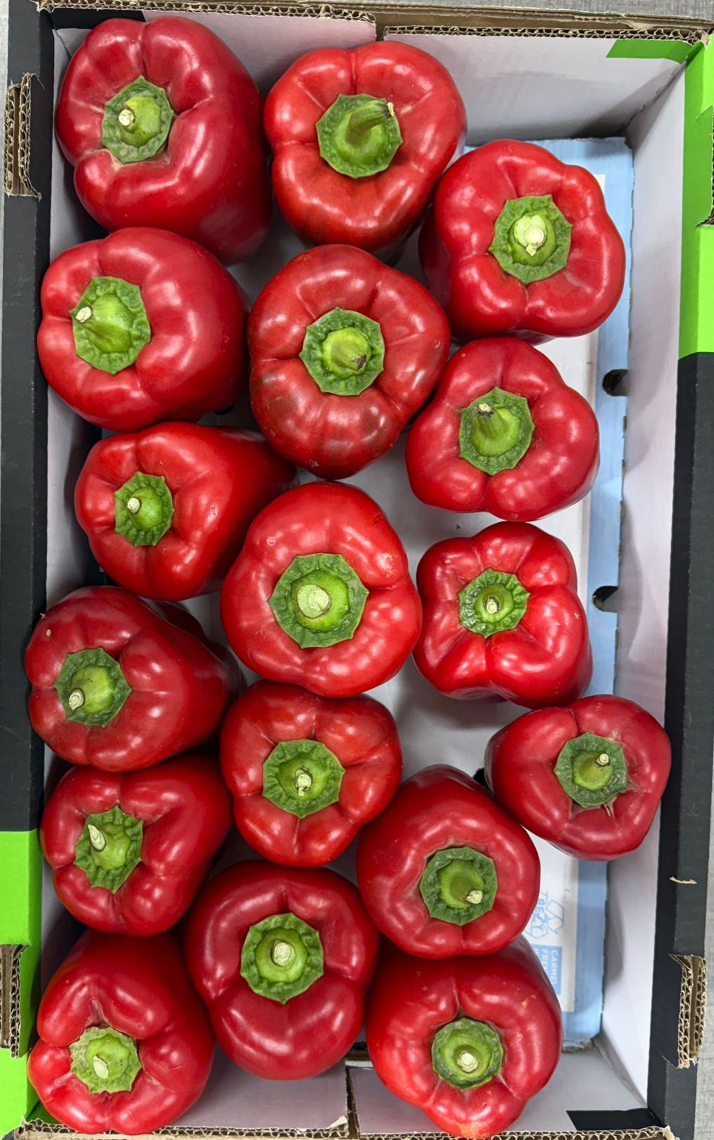 'קרטון פלפל אדום