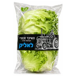 חסה לאליק האיכר זנזורי