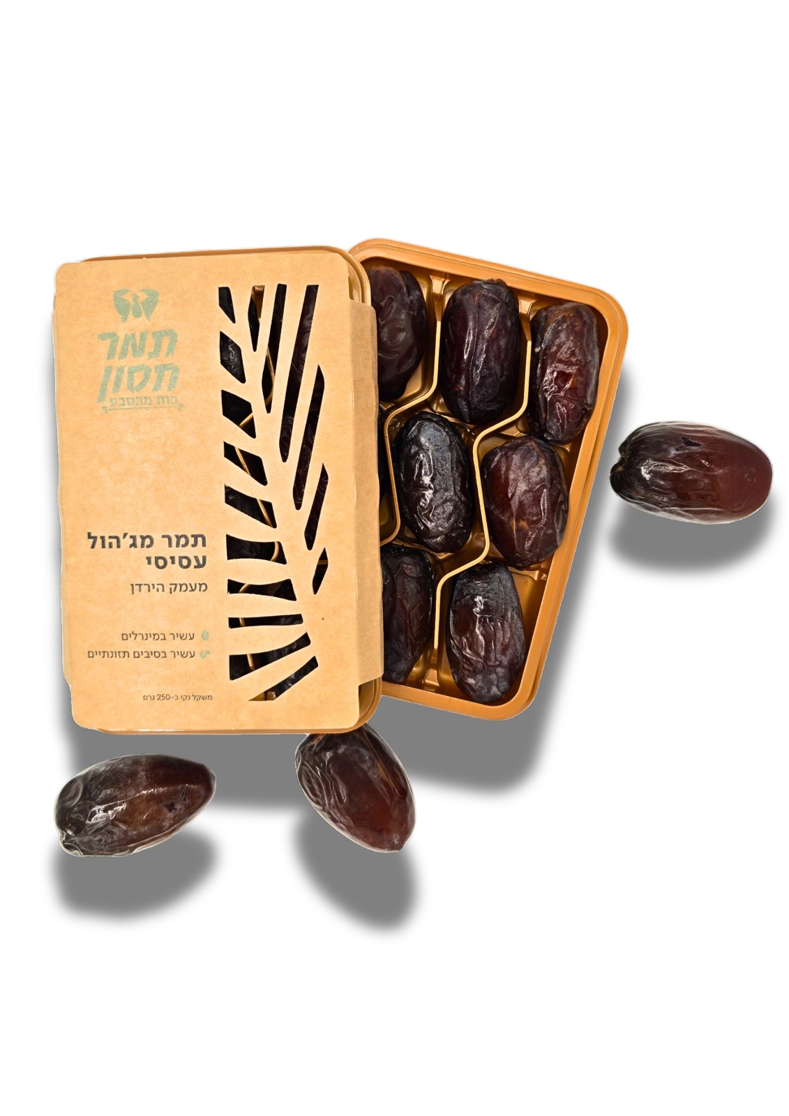 תמר מג'הול חסון