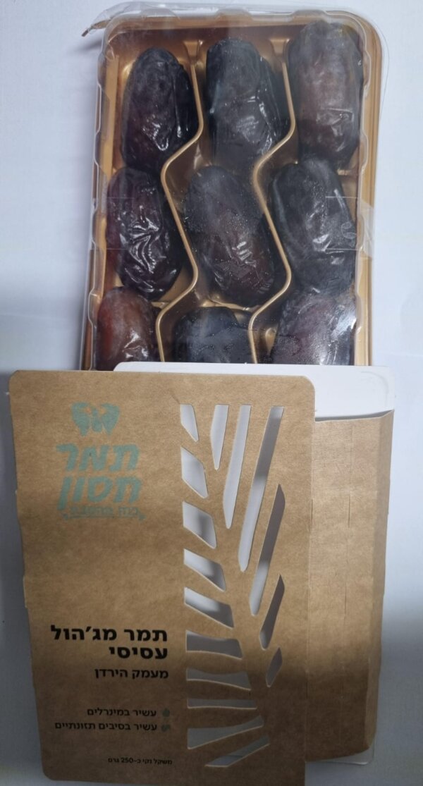 תמר סורבה