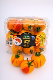 טייגר