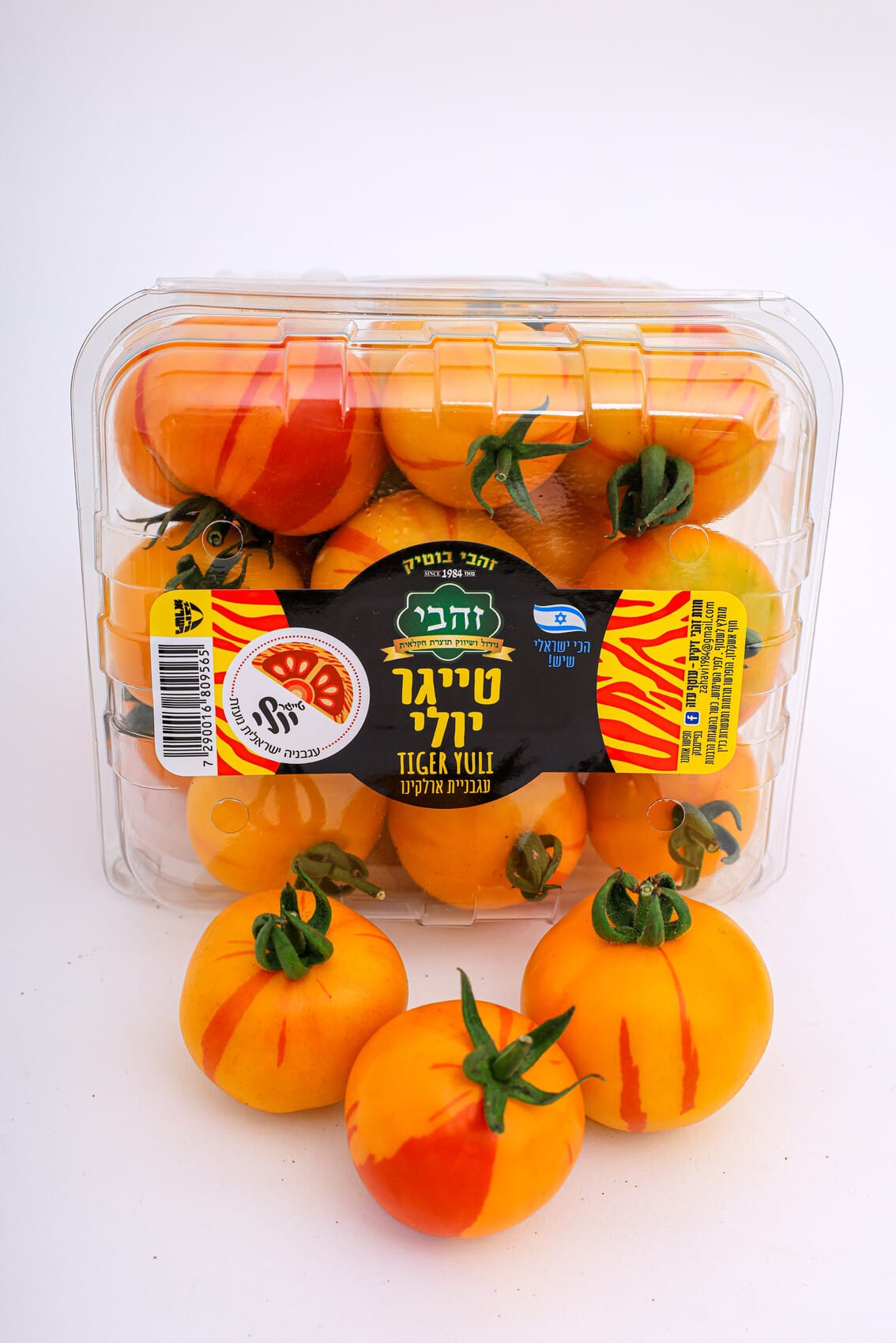 טייגר
