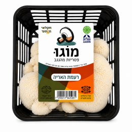 רעמת האריה