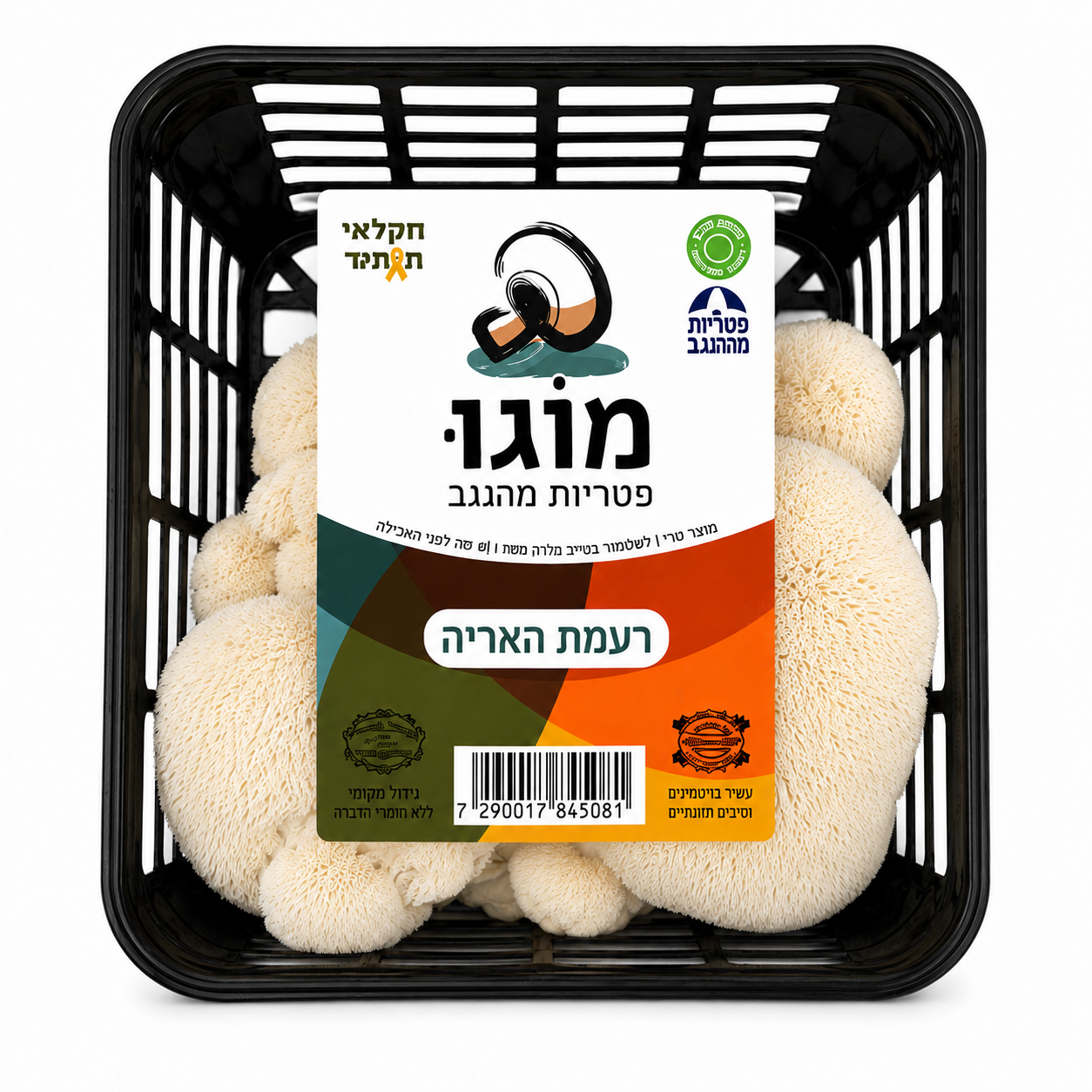 רעמת האריה רעמת האריה
