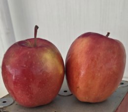 WhatsApp Image 2026-02-10 at 14.37.36