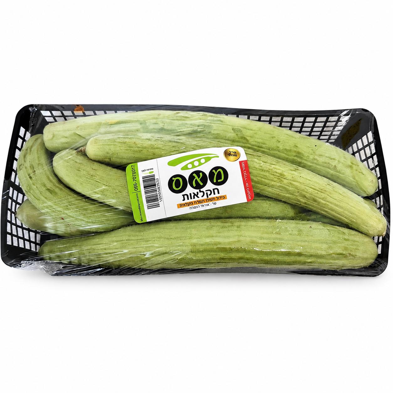 פאקוס