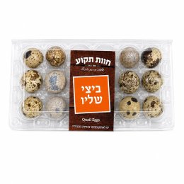 ביצי שליו