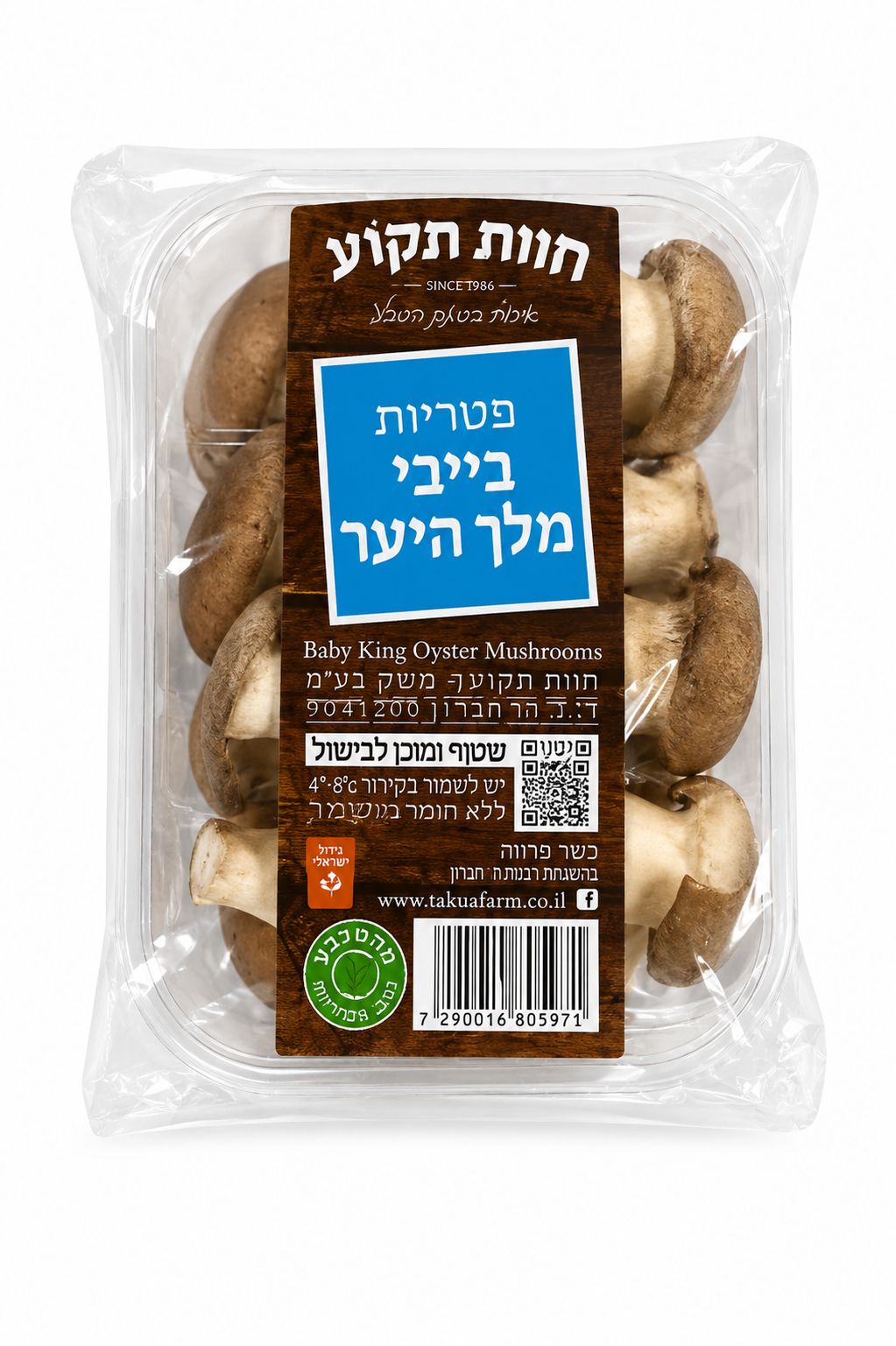 פטריות בייבי מלך היער